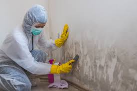 Why You Should Choose Our Mold Remediation Services in Deerfield, WI